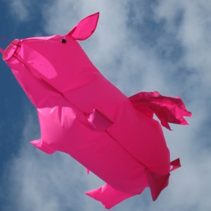 Large Flying Pig windsock