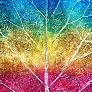 Lot de 10 cartes de voeux uniques, cartes de voeux artistiques, cartes imprimées botaniques monotypes