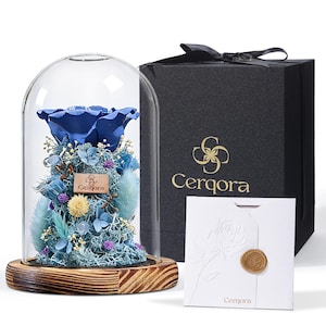 May include: A blue preserved rose arrangement in a glass dome on a wooden base. The arrangement includes blue and light blue accents, with a small wooden tag that reads "Cerqora". A black gift box and a white card with a gold seal are also present.