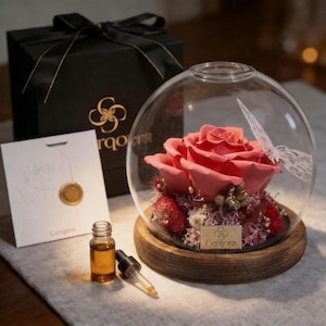May include: A preserved pink rose in a glass dome with a wooden base, a white butterfly design, and the brand name "Cerqora". Includes a black gift box with a ribbon, a card with a wax seal, and a small bottle with a dropper.