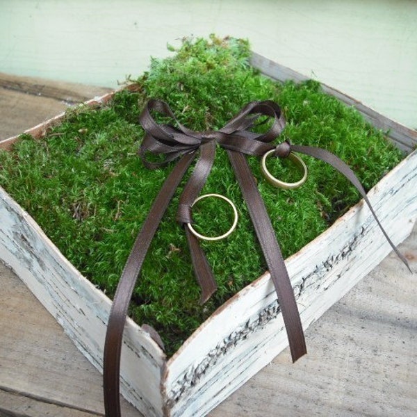 Birch Bark and Moss Ringbearer's pillow