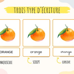 Cartes nomenclature sur les fruits, imagier enfant fruits en aquarelle, Jeu Montessori, activité école à la maison, cartes école maternelle image 4