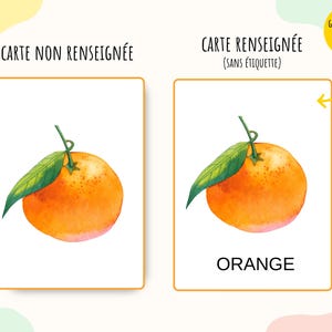 Cartes nomenclature sur les fruits, imagier enfant fruits en aquarelle, Jeu Montessori, activité école à la maison, cartes école maternelle image 6