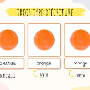 Cartes pour apprendre les couleurs, jeu carte Montessori initiation aux couleurs, activité enfants maternelle, IEF, téléchargement numérique image 4