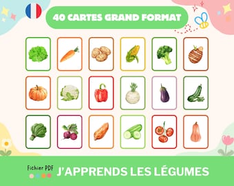 Cartes nomenclature sur les légumes, imagier légumes, activité Montessori imprimable, cartes maternelle aquarelle, téléchargement numérique