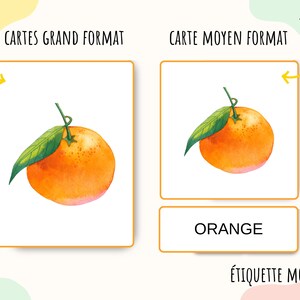 Cartes nomenclature sur les fruits, imagier enfant fruits en aquarelle, Jeu Montessori, activité école à la maison, cartes école maternelle image 3