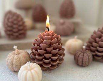 ZAPFEN Candle – Autumnal forest candle, pine cone, sustainable autumn decoration, gift idea, autumn candle decoration, pine cone candle
