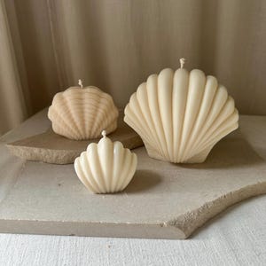 Coquillage - Bougie décorative, Coquillage, Coquille Saint-Jacques, Été, Brise d'été, Décoration d'intérieur, Décoration de table