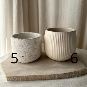 May include: Two ceramic planters. One is a small, speckled, off-white pot with pink and brown flecks. The other is a larger, cream-colored pot with vertical ribbed detailing. Both are on a light-colored stone surface.