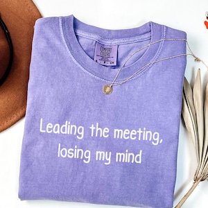 Comfort Colors® 会議をリード、気が狂いそうになる面白いワークシャツ、皮肉なオフィスTシャツ、同僚へのギフト、生意気な企業シャツ、ユーモアTシャツ