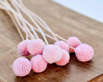 Blush Pink Billy Balls - Preserved Craspedia Flowers for Girls Room, Baby Shower, Valentine's Day