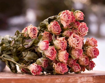 Bicolor Pink & Ivory Mini Roses With Stems | 2 oz Bunch | 10-15 Stems