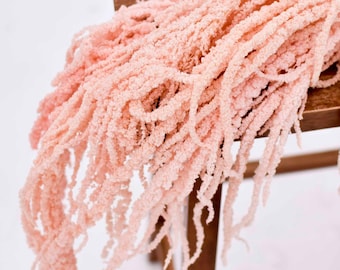 Soft Pink Draping Amaranthus | Preserved Cascading Flowers for Wedding Bouquets, Arches & Vase | 5 oz bunch