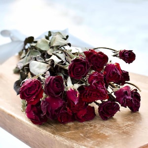 Dried Mini Burgundy Red Roses - For Vase, Arrangements, Wreaths - 2 oz Bunch, 16-20" Stems