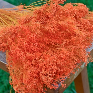 Vibrant Orange Baby's Breath | Dyed Gypsophila for Bold Wedding Bouquets, Fall Centerpieces & Bright Home Decor | Dried or Preserved