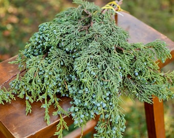 Fresh berried juniper bunch, PRE-ORDER for Christmas season now! Christmas greenery, evergreen branches, holiday greenery, fresh juniper
