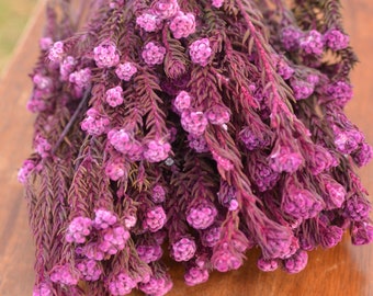 Bunch of preserved purple orchid cotton phylica,  preserved pink flowers, fuchsia dried flowers, fuchsia wedding flowers