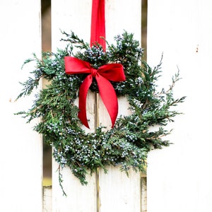 May include: A green wreath with blue berries and a red satin bow hanging on a white wooden fence.