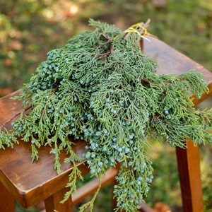 Fresh berried juniper bunch, PRE-ORDER for Christmas season now! Christmas greenery, evergreen branches, holiday greenery, fresh juniper
