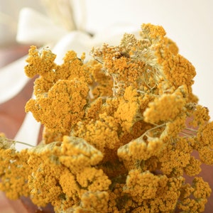 Dried Yarrow Bunch, dried yarrow, golden flowers, gold flowers, yellow dried flowers, yellow wedding flowers image 1