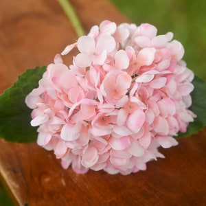 Light Pink silk hydrangea, pink hydrangea, spring flowers, silk hydrangeas, artificial hydrangeas, faux hydrangeas image 1