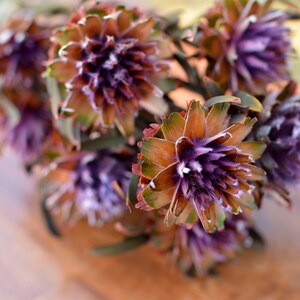 Purple Preserved Orchid Plumosum: Wedding Flowers, 7-8 Stems image 2