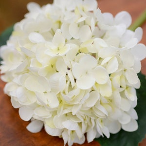 White silk hydrangea, white hydrangea, silk hydrangeas, artificial hydrangeas, faux hydrangeas, white wedding bouquet