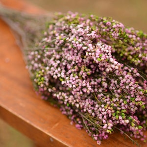 Bukett konserverad rosa ljung, rosa ljung, rosa bröllopsblommor, vårbröllopsblommor, skotska blommor, skotska bröllopsblommor bild 3