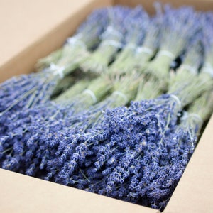 Bulk Case Dried English Lavender, wholesale dried lavender, bulk lavender, wedding lavender