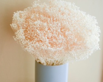 May include: A bouquet of dried baby's breath in a light blue vase. The vase is sitting on a wooden surface.