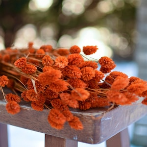 Autumn Orange Dried Phalaris Grass Bunch: Fall Wedding Decor