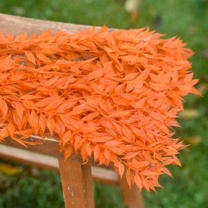 Preserved Orange Ruscus: Fall Wreath Garland Accent