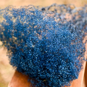 Blue baby's breath bunch, blue baby's breath, blue flower filler, dried blue flowers, medium blue flowers