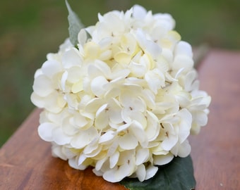 Cream silk hydrangea, cream hydrangea, silk hydrangeas, artificial hydrangeas, faux hydrangeas, cream wedding bouquet, ivory hydrangeas