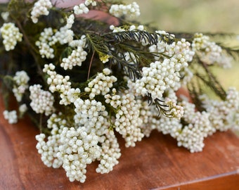 Fleur de riz blanc stabilisée, fleurs blanches, fleurs de mariage, mastic, mastic de fleurs séchées, fleurs séchées blanches