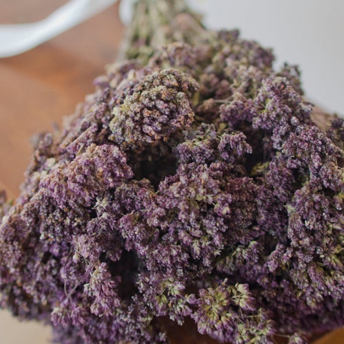 Santa Cruz Dried Oregano Dried Herbs Dried Purple Flowers Etsy