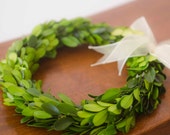 Preserved Mini Boxwood Wreath, Simple Spring Wreath, Spring wreath, boxwood wreath, small boxwood wreath