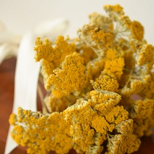 Dried Yarrow Bunch, dried yarrow, golden flowers, gold flowers, yellow dried flowers, yellow wedding flowers image 2