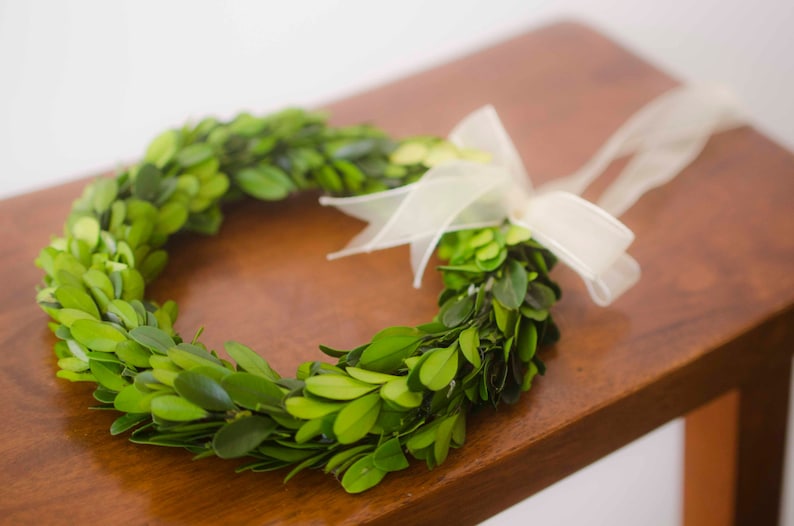 Preserved Mini Boxwood Wreath, Simple Spring Wreath, Spring wreath, boxwood wreath, small boxwood wreath image 1