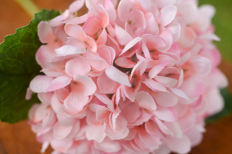 Light Pink silk hydrangea, pink hydrangea, spring flowers, silk hydrangeas, artificial hydrangeas, faux hydrangeas image 7