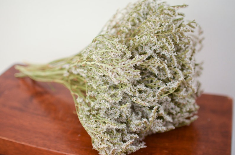 May include: A dried bouquet of Limonium, also known as sea lavender, featuring numerous small, delicate white flowers on thin, branching green stems. The cluster of dried botanical stems is gathered together at the base and fans out into a dense arrangement.