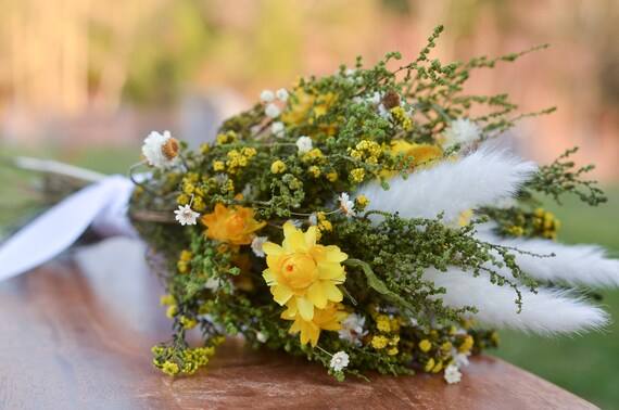 Dried Daisy Bunch, Dried Ammobium, Winged Everlasting, Natural