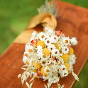 Dried billy balls, craspedia, Bunch of craspedia, dried yellow flowers, Billy buttons, baby shower flowers image 9