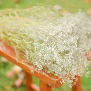 Natural dried baby's breath, unbleached baby's breath, silver flowers, gray flowers, filler dried flowers, dried gypsophilia, dried flowers image 3