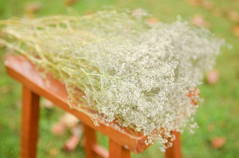 Natural dried baby's breath, unbleached baby's breath, silver flowers, gray flowers, filler dried flowers, dried gypsophilia, dried flowers image 3