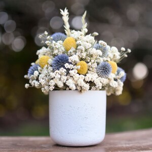 Billy balls and echinops floral pot, Mother's Day flowers, small floral arrangement, spring dried flowers, small centerpiece image 7