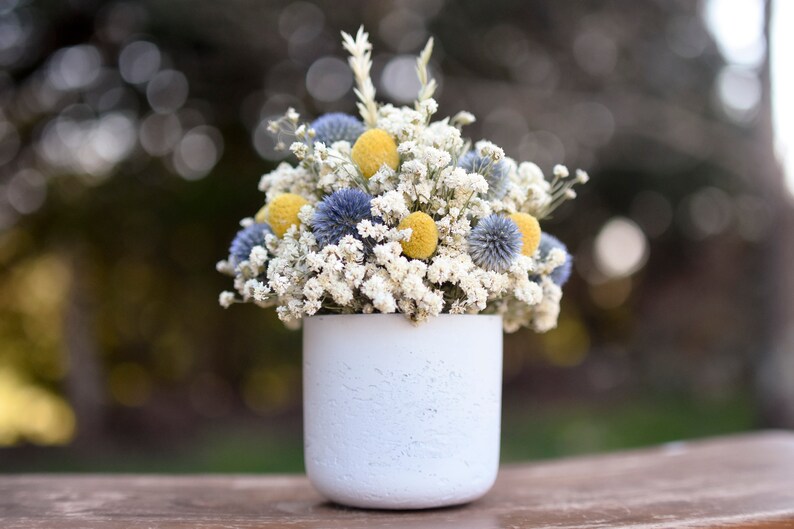 Billy balls and echinops floral pot, Mother's Day flowers, small floral arrangement, spring dried flowers, small centerpiece image 7