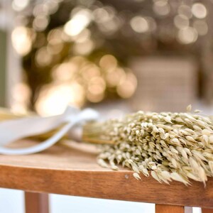 Dried oats tied in a bundle.