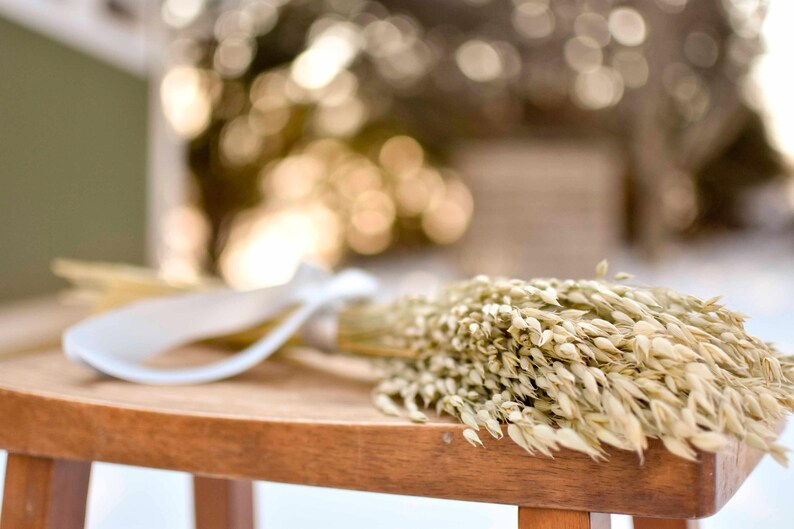 Dried oats tied in a bundle.