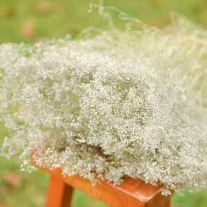 Natural dried baby's breath, unbleached baby's breath, silver flowers, gray flowers, filler dried flowers, dried gypsophilia, dried flowers image 5